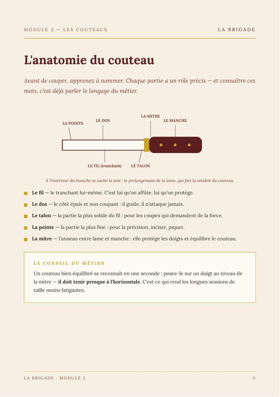 L'anatomie du couteau