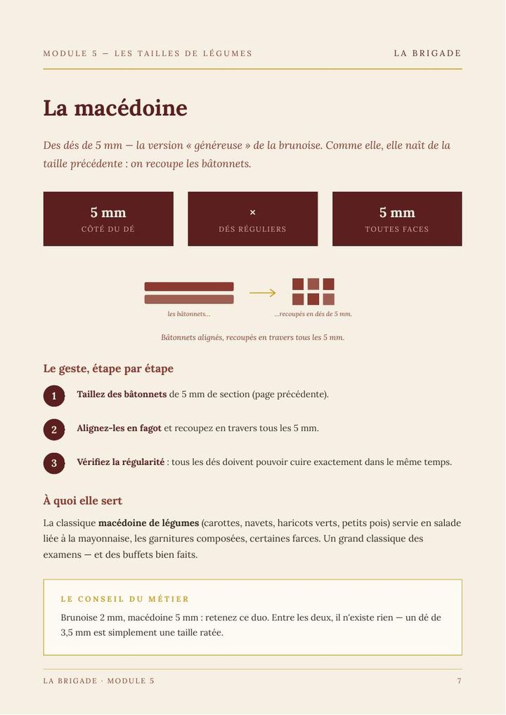 Page du Module 5 — Les tailles de légumes