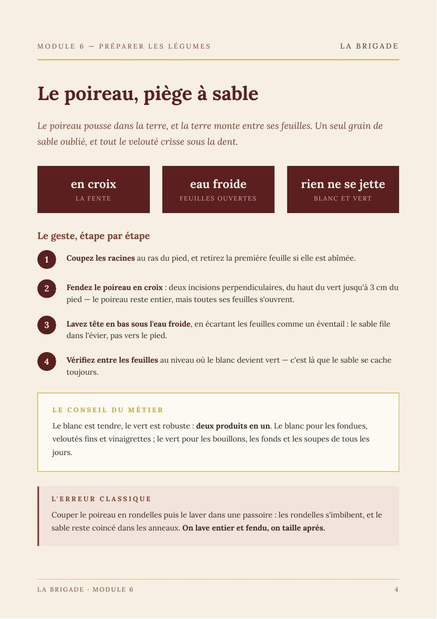 Le poireau, piège à sable