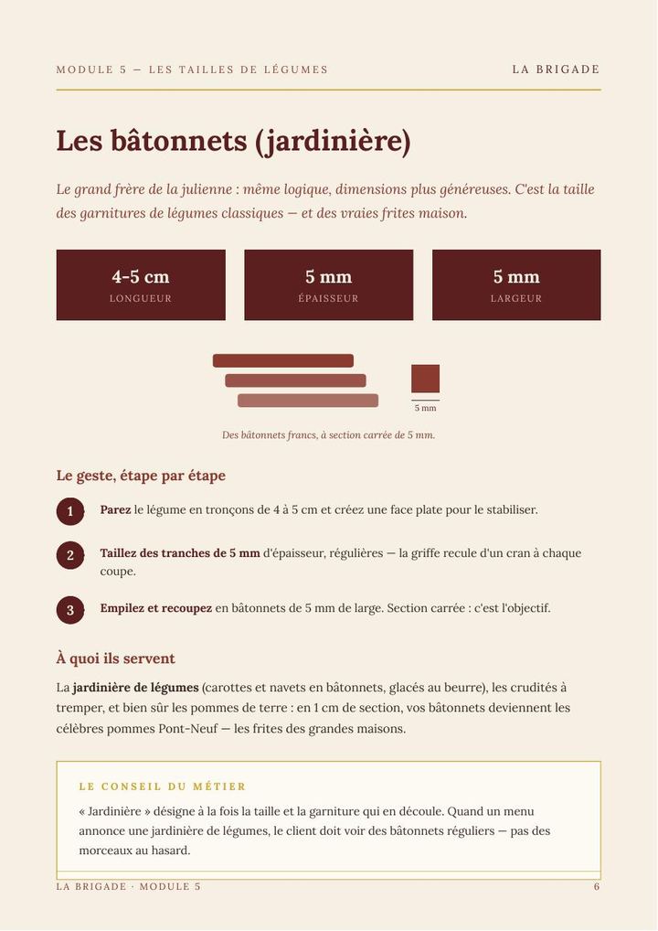 Page du Module 5 — Les tailles de légumes