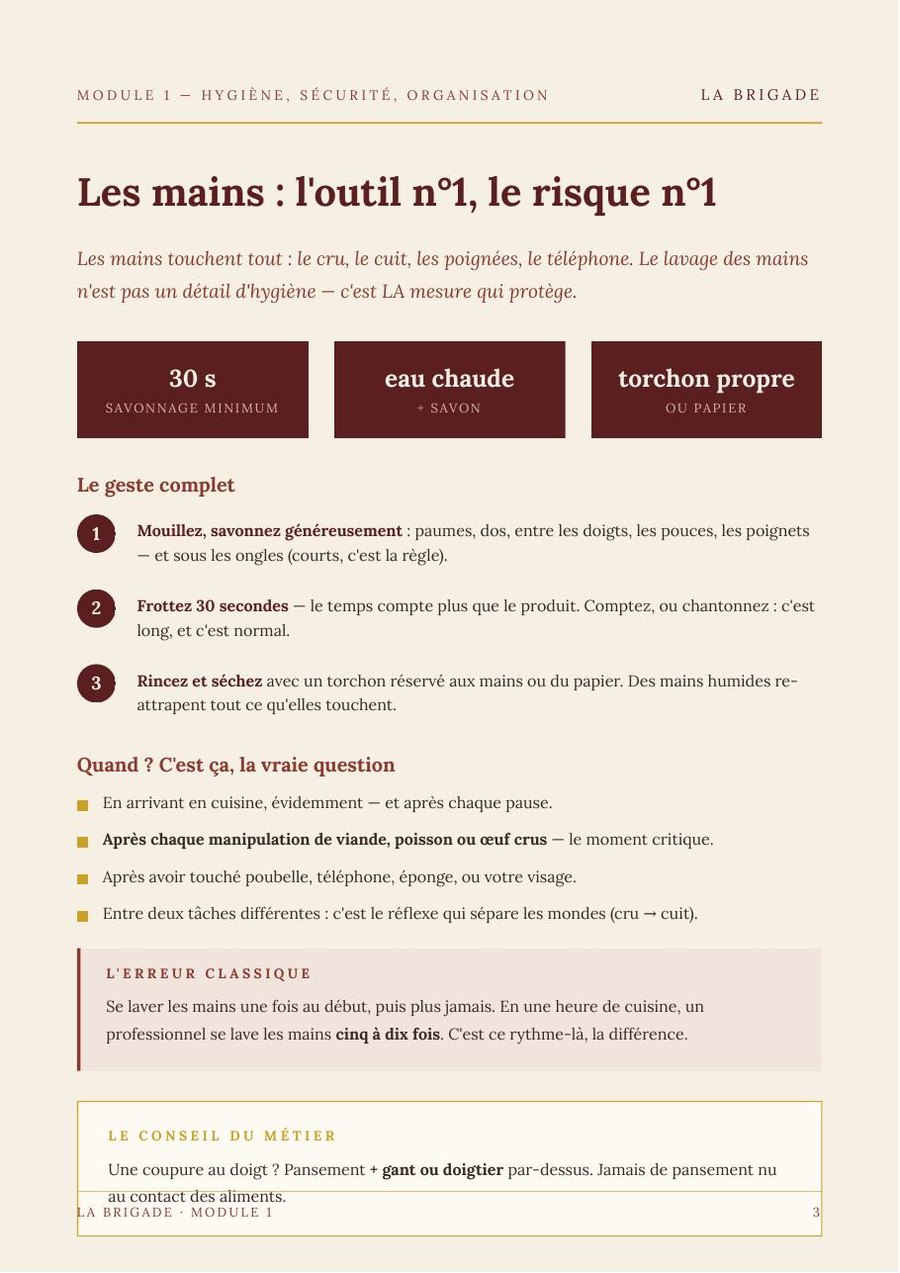 Les mains : l'outil n°1, le risque n°1